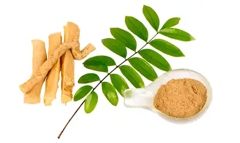Boost Energy and Reduce Stress with Tongkat Ali Extract
